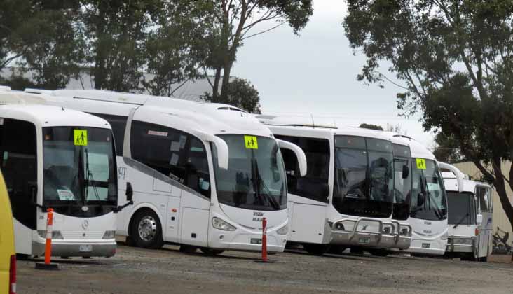 Westernport Mercedes OH1830 Mills-Tui Orbit 25, MAN 19.320 Irizar i6 32 & 36, Volvo B8R Volgren Endura 58 and Denning Landseer 114